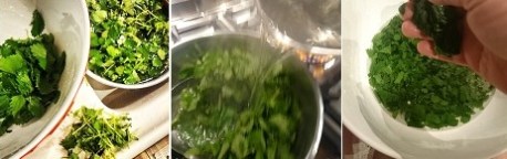 wash, blanch,squeeze